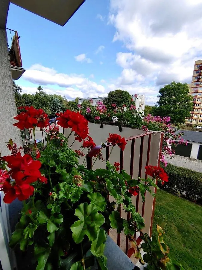 Loft House Sopot Apartament Apartment